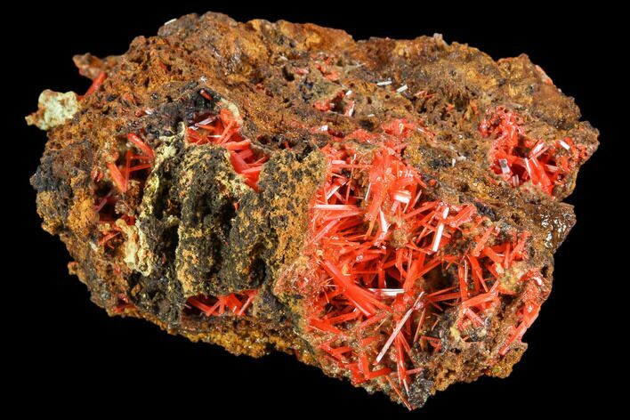 Bright Orange Crocoite Crystal Cluster - Tasmania #106803